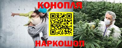трава Севастополь