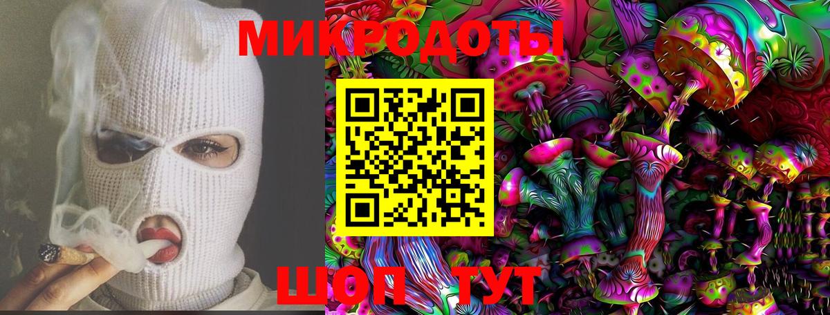 Борзя  Псилоцибиновые грибы Psilocybe  Вход с VPN 