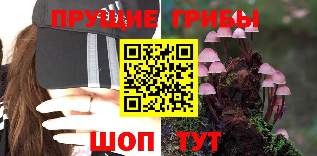 Псилоцибиновые грибы мухоморы Борзя
